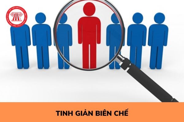 Viên chức thôi việc ngay theo dạng tinh giản biên chế được hưởng chế độ gì?