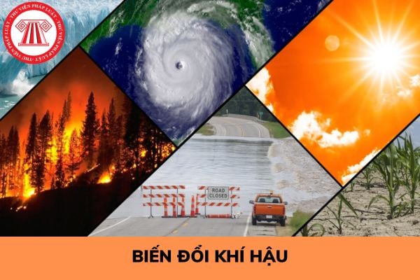 Biến đổi khí hậu là gì? Bao lâu thì công bố kịch bản biến đổi khí hậu một lần?