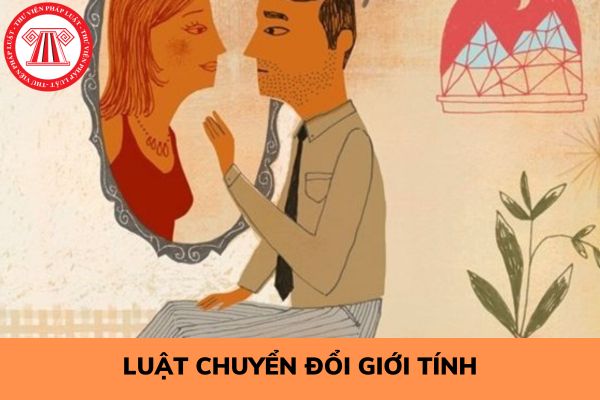 Khi nào có Luật Chuyển đổi giới tính? Dự thảo người chuyển đổi giới tính phải đáp ứng điều kiện nào?