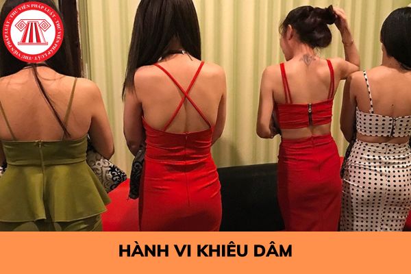 Hành vi khiêu dâm là hành vi như thế nào? Hành vi khiêu dâm bị xử phạt như thế nào?