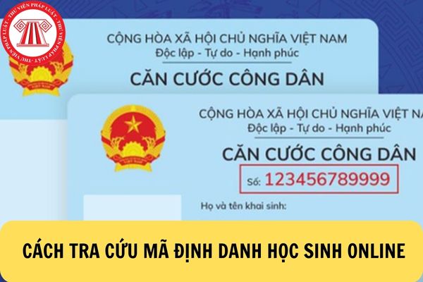 Cách tra cứu mã định danh học sinh online nhanh chóng