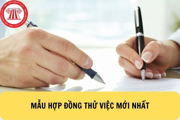 Mẫu hợp đồng thử việc