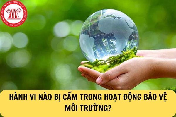 Hành vi bị cấm trong hoạt động bảo vệ môi trường?