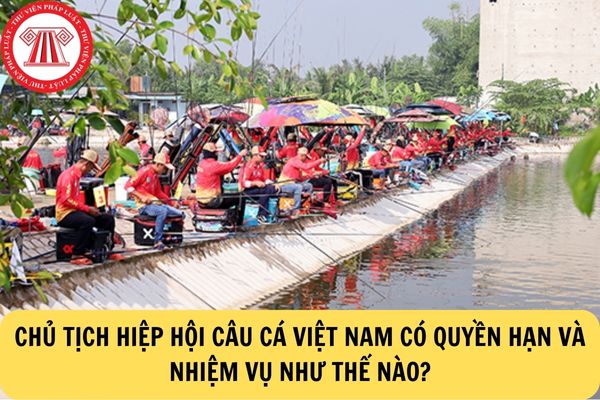 Chủ tịch câu cá