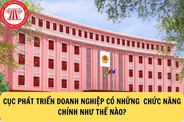 Cục phát triển doanh nghiệp có vị trí và chức năng gì?