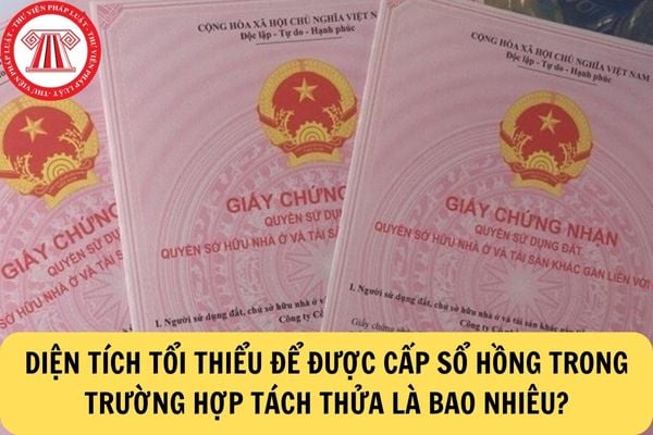 Diện tích tách thửa để cấp sổ hồng tại TP Hồ Chí Minh hiện nay là bao nhiêu?