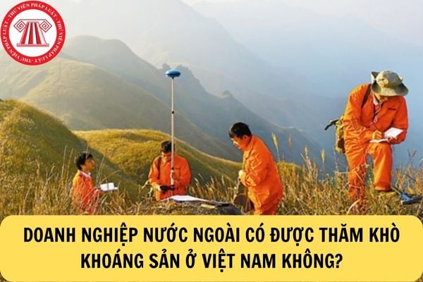 Doanh nghiệp nước ngoài