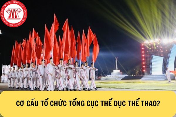 Cơ cấu tổ chức 