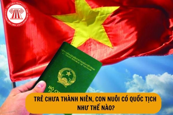 Quốc tịch trẻ chưa thành niên, con nuôi được quy định như thế nào?