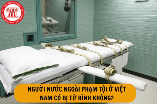Người nước ngoài phạm tội ở Việt Nam có bị tử hình không?