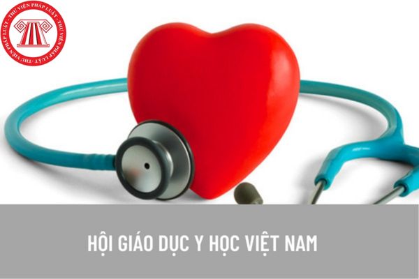 Quy định về tôn chỉ, mục đích Hội Giáo dục y học Việt Nam?