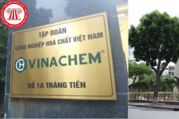 Quy định về tổ chức lại Tập đoàn Hóa chất Việt Nam như thế nào?