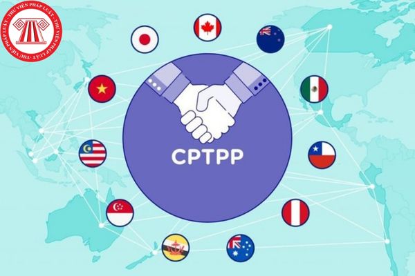 Đánh giá lý lịch khoa học tư vấn cá nhân phương thức một giai đoạn hai túi hồ sơ mua sắm gói thầu theo Hiệp định CPTPP như nào?