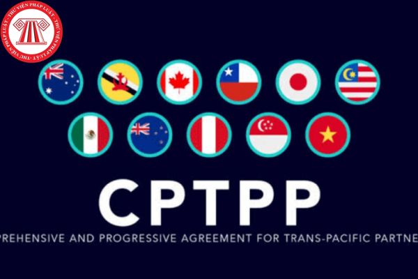 Sửa lỗi và hiệu chỉnh sai lệch trong phương thức một giai đoạn hai túi hồ sơ mua sắm gói thầu theo Hiệp định CPTPP như thế nào?