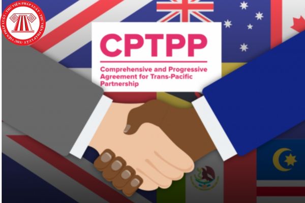 Thương thảo hợp đồng trong phương thức một giai đoạn hai túi hồ sơ mua sắm gói thầu theo Hiệp định CPTPP như thế nào?