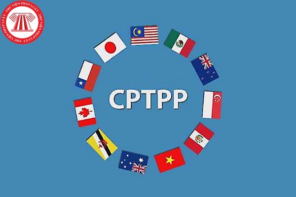 Quy định chuẩn bị, tổ chức đấu thầu giai đoạn hai phương thức một giai đoạn hai túi hồ sơ mua sắm gói thầu theo Hiệp định CPTPP như nào?