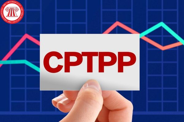 Đấu thầu giai đoạn một phương thức hai giai đoạn hai túi hồ sơ mua sắm gói thầu theo Hiệp định CPTPP được tiến hành chuẩn bị như nào?