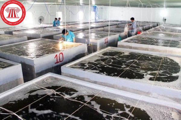 Cơ sở sản xuất giống thủy sản phải có hệ thống nước thải không?