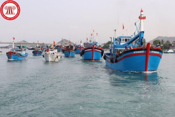 Tàu đánh bắt nguồn lợi thủy sản được hoạt động tại mọi vùng biển Việt Nam không?