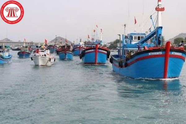 Cấp phép nhập khẩu tàu cá như thế nào? Quy định đối với tàu cá được tặng cho, viện trợ?