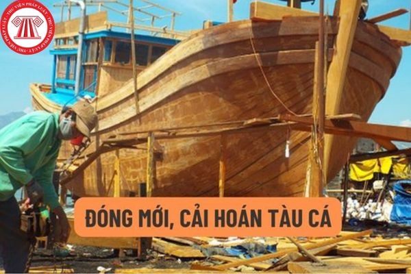 Các điều kiện của cơ sở đóng mới tàu cá vỏ thép?