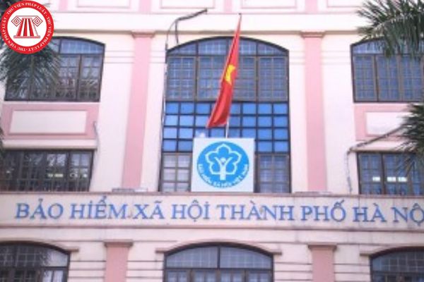 Phòng Quản lý hồ sơ thuộc Bảo hiểm xã hội thành phố Hà Nội và Thành phố Hồ Chí Minh có chức năng như thế nào?