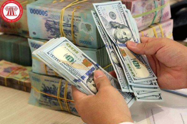 Hủy quan hệ giao dịch ngoại tệ giữa Ngân hàng Nhà nước Việt Nam và tổ chức tín dụng được phép hoạt động ngoại hối ra sao?