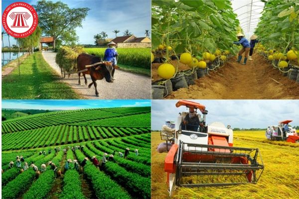 Mục tiêu tổng quát trong kế hoạch đào tạo nghề nông nghiệp cho lao động nông thôn giai đoạn 2022-2025?