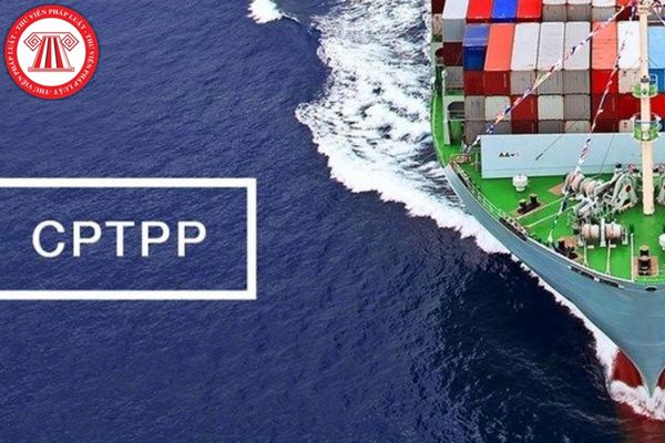Tư cách hợp lệ của nhà thầu quốc tế mua sắm theo Hiệp định CPTPP được quy định ra sao?