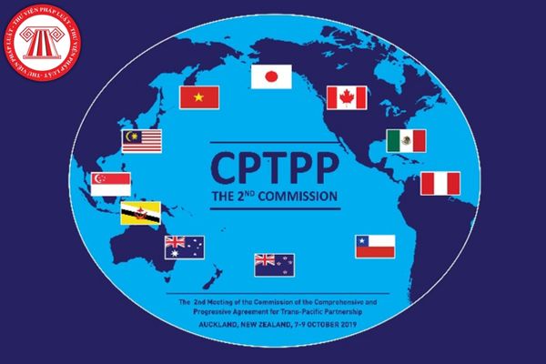 Mua sắm theo Hiệp định CPTPP trong thời kỳ chuyển đổi theo biện pháp nào?
