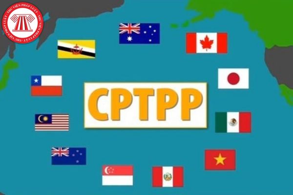 Trong trường hợp nào bảo đảm dự thầu theo Hiệp định CPTPP không được hoàn trả?