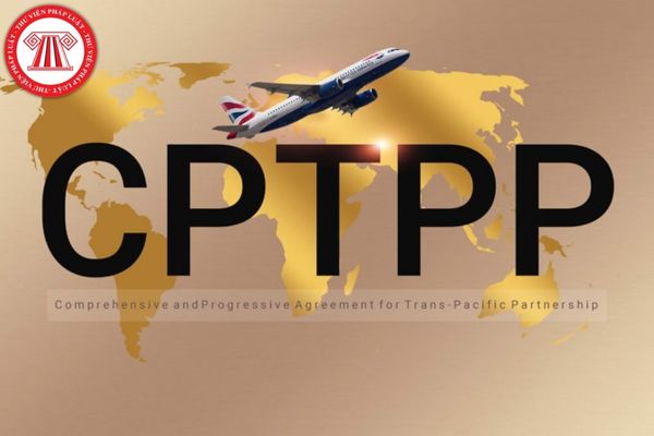 Lập kế hoạch lựa chọn nhà thầu mua sắm theo Hiệp định CPTPP theo nguyên tắc nào?