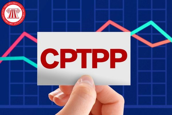 Những nội dụng nào sẽ có trong văn bản trình duyệt kế hoạch lựa chọn nhà thầu mua sắm theo Hiệp định CPTPP?