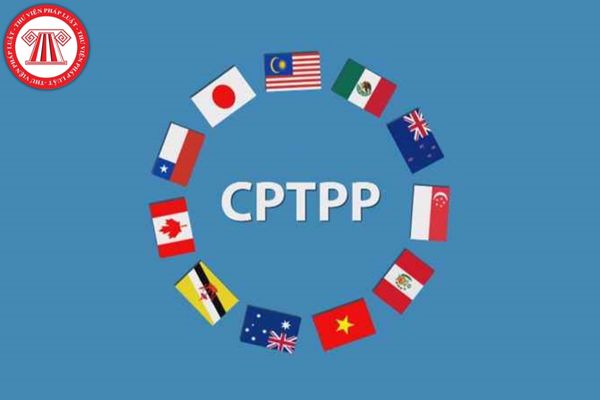 Quy định về đấu thầu rộng rãi về mua sắm theo Hiệp định CPTPP?