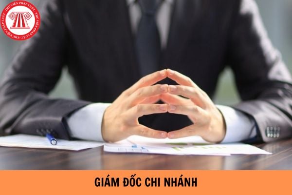 Giám đốc chi nhánh là ai và có vai trò như thế nào?