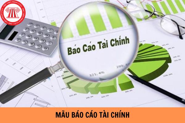 Mẫu báo cáo tài chính đơn giản cho doanh nghiệp năm 2024?