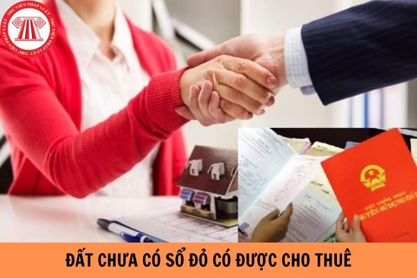 Đất chưa có sổ đỏ có được cho thuê không?