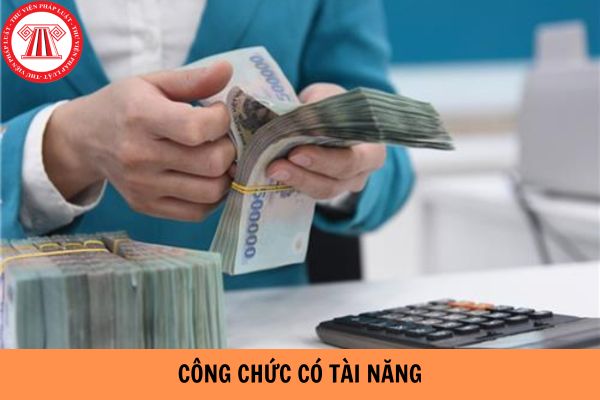 Ai được coi là công chức có tài năng? Đề xuất chính sách về tiền lương, chế độ phúc lợi đối với công chức tài năng?