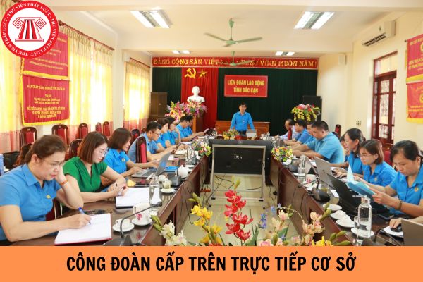 Công đoàn cấp trên trực tiếp cơ sở có vai trò như thế nào khi khởi kiện và tham gia tố tụng dân sự giải quyết tranh chấp các vụ án lao động tại Tòa án?