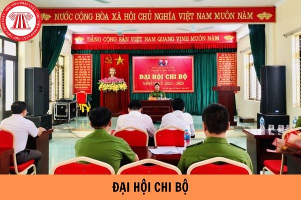 Hỏi đáp Pháp luật