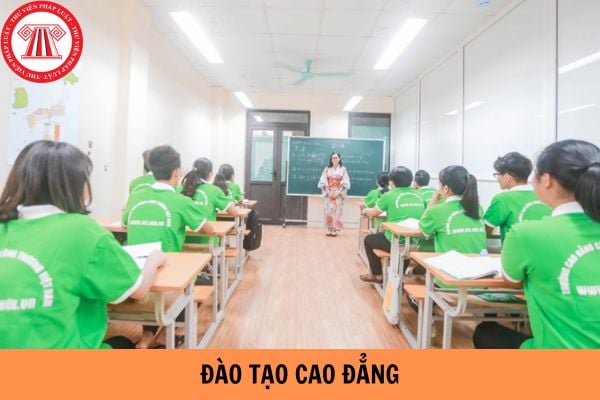 Cao đẳng là gì? Các hình thức đào tạo cao đẳng?