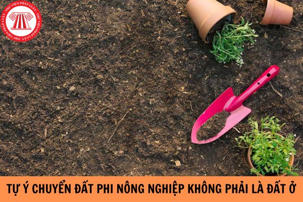 Tự ý chuyển đất phi nông nghiệp không phải là đất ở sang đất ở bị xử phạt như thế nào?