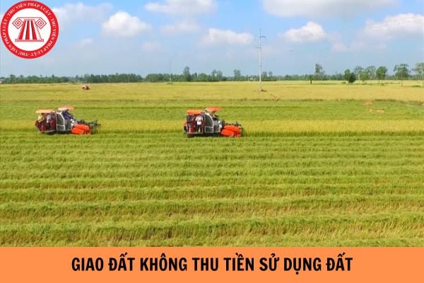 Giao đất không thu tiền sử dụng đất có phải thông qua hình thức đấu giá không?