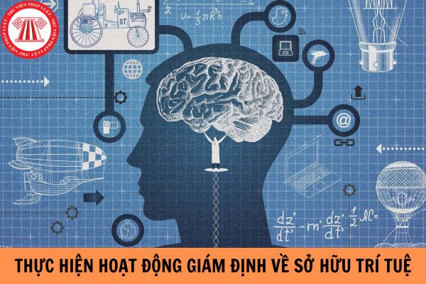 Doanh nghiệp có được thực hiện hoạt động giám định về sở hữu trí tuệ không?