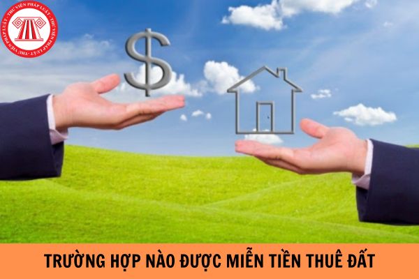 Trường hợp nào được miễn tiền thuê đất?