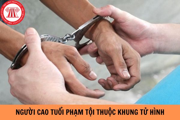 Người cao tuổi phạm tội thuộc khung tử hình thì quyết định hình phạt như thế nào?