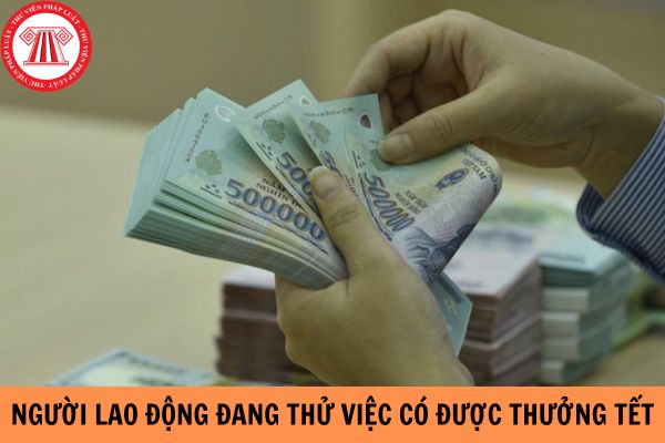 Người lao động đang thử việc thì có được thưởng tết cuối năm hay không?