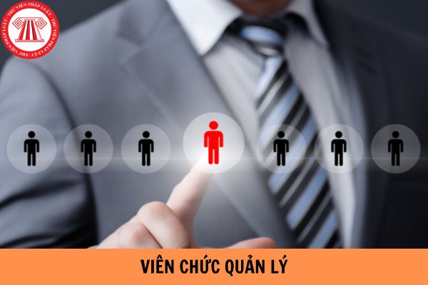 Viên chức quản lý bị kỷ luật cách chức nhưng lại tái phạm thì bị xử lý như thế nào?