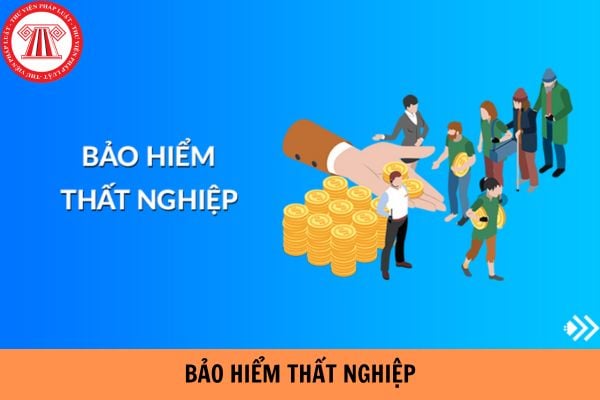 Có phải thời gian đóng bảo hiểm thất nghiệp vượt trên 12 năm không được tính trợ cấp và không được bảo lưu không?