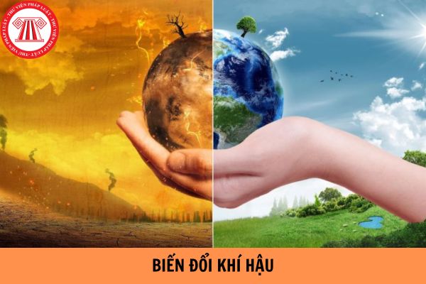 Thực trạng biến đổi khí hậu và những giải pháp khắc phục ở Việt Nam nước ta hiện nay?